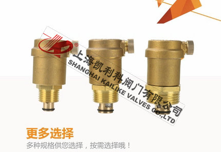 AVAX暖气自动排气阀选择